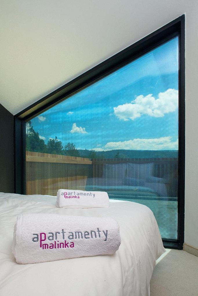 Apartamenty Malinka Visla Exteriér fotografie